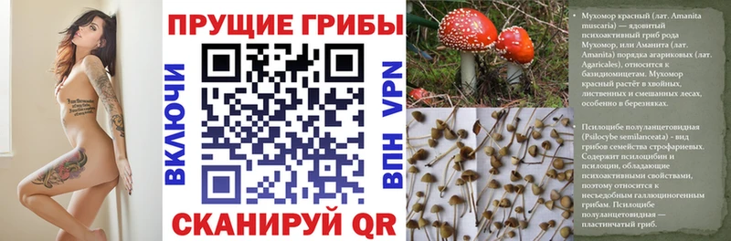 Галлюциногенные грибы Magic Shrooms  Юрьев-Польский 